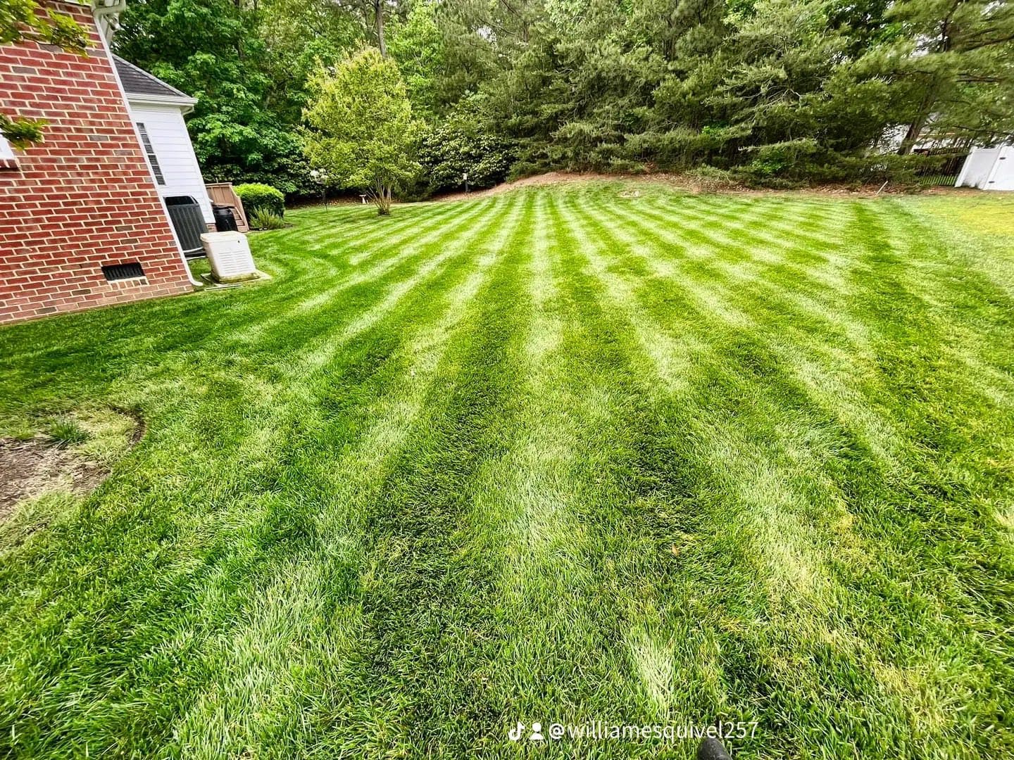 Lawn Care & Maintenance